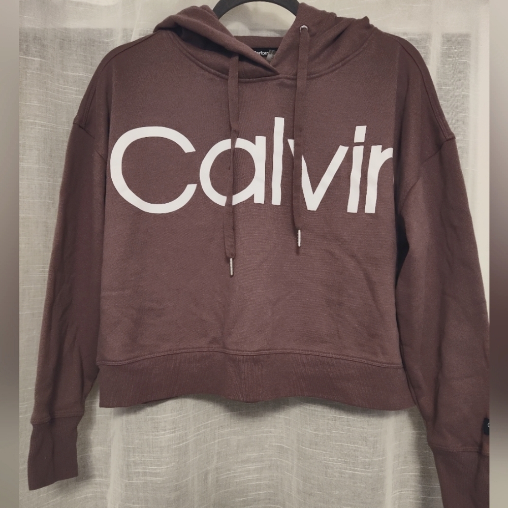 Calvin Klein Performance Hoodie and Sweat Pants Set Size M Mauve